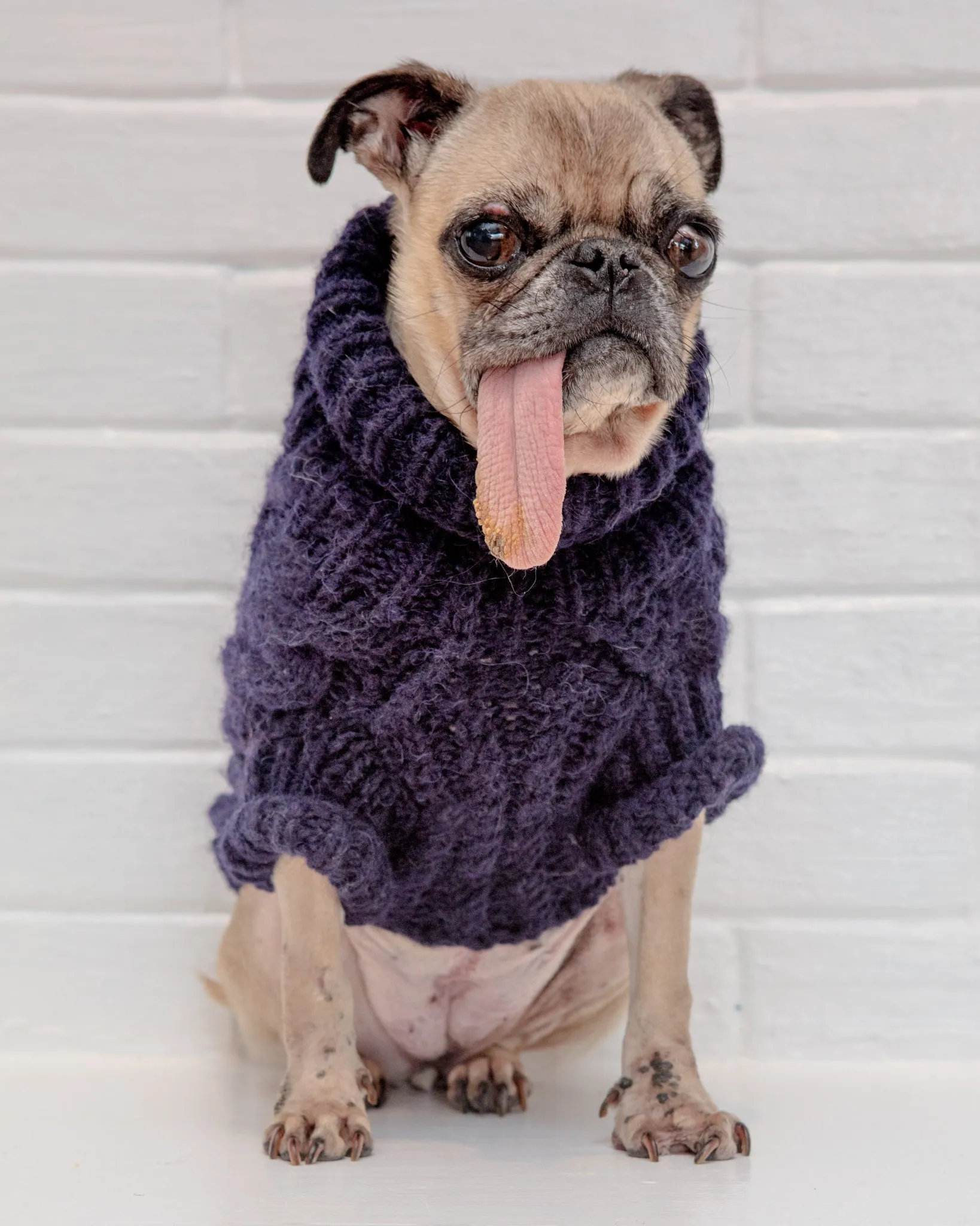 Downtown Roll Neck Dog Sweater in Navy