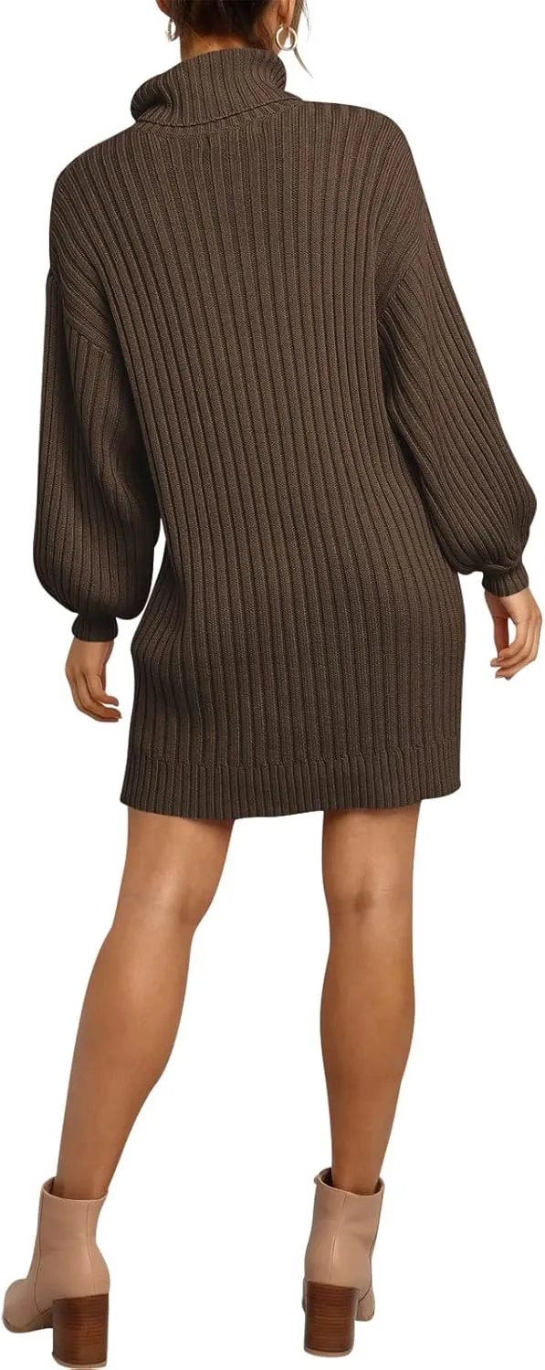 Prinbara Women Turtleneck Long Lantern Sleeve Casual Loose Oversized Sweater Dress Soft Winter Pullover Dresses