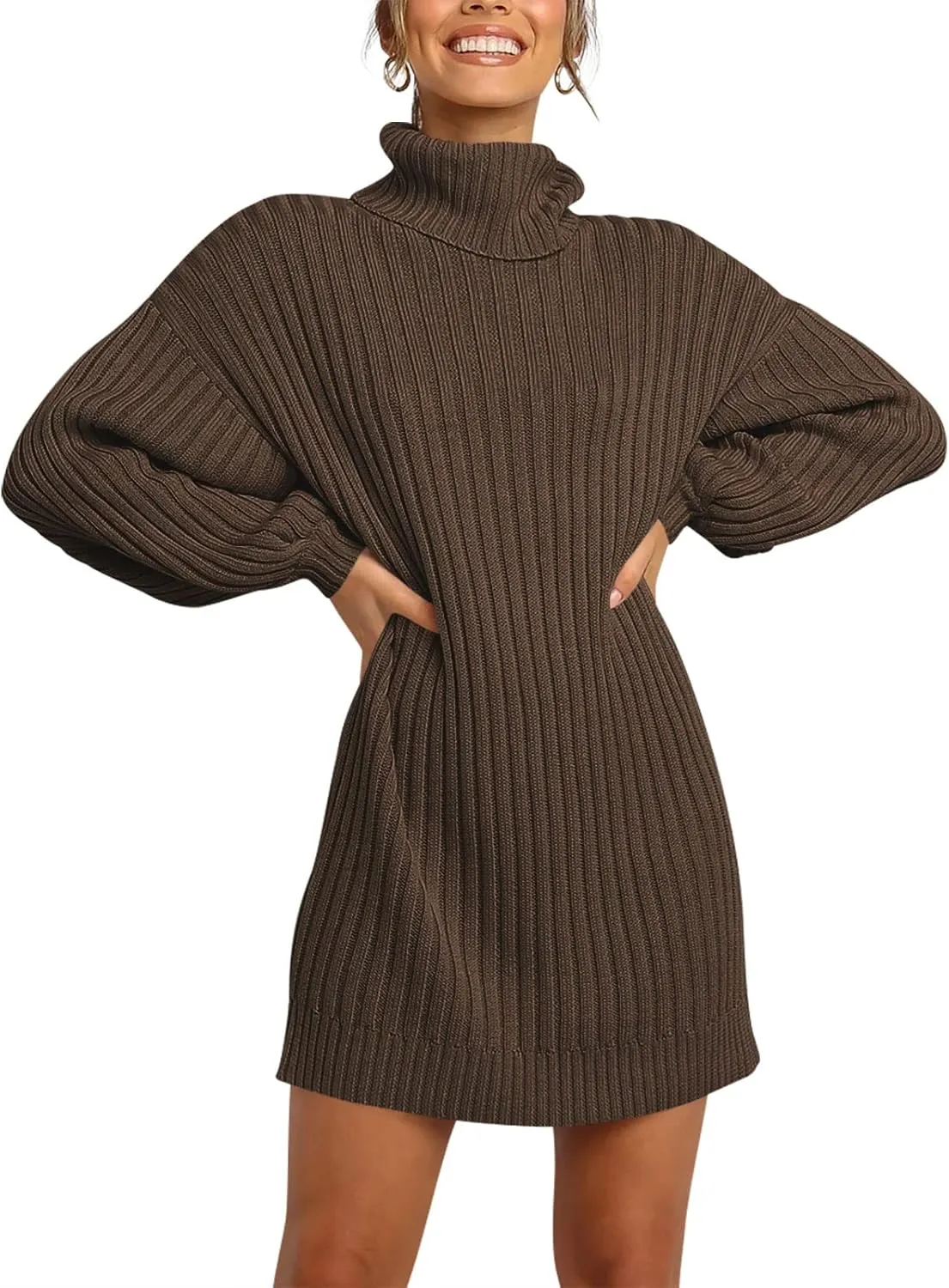 Prinbara Women Turtleneck Long Lantern Sleeve Casual Loose Oversized Sweater Dress Soft Winter Pullover Dresses