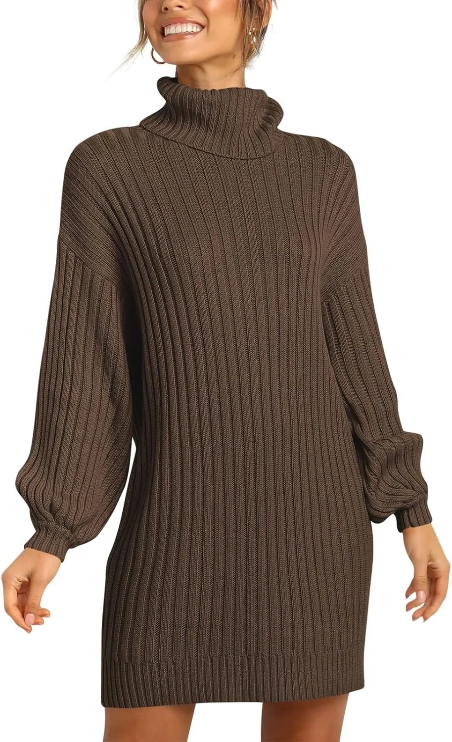 Prinbara Women Turtleneck Long Lantern Sleeve Casual Loose Oversized Sweater Dress Soft Winter Pullover Dresses